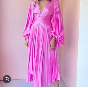 Acler Palms Pleats Dress Size 6